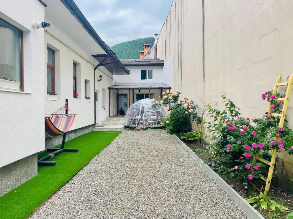 Schei Brasov-Скей Брашов Apartamento Exterior foto